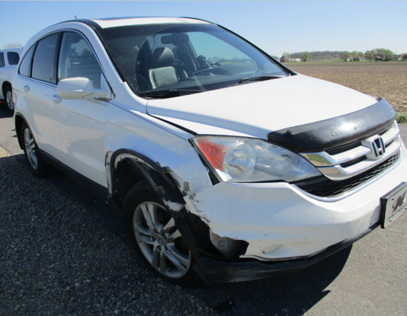 Damage on the SUV that crashed into the back of the buggy.