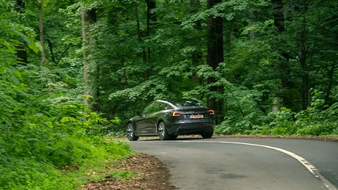 Tesla Model 3 on Twisty Road