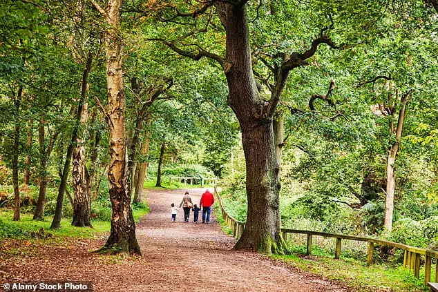 Visit Center Parcs in Sherwood Forest for the idylls of wooden lodges and abundant fresh air