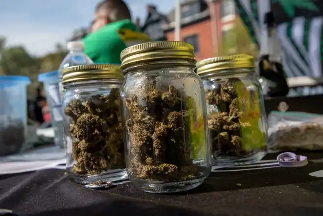 On the first 4/20, the unofficial holiday for marijuana enthusiasts, since marijuana was legalized in New Jersey, people gather at the state house in Trenton on Tuesday April 20, 2021 to celebrate as well as protest NJ laws that prohibit people from growing marijuana at home.