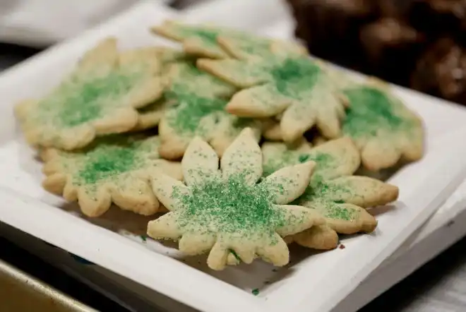 Cookies shaped like marijuana leafs are pictured at the Cannabis Carnivalus 4/20 event in Seattle, Wash. April 20, 2014. Thousands of marijuana enthusiasts gathered in Colorado and Washington state over the weekend for an annual celebration of cannabis culture with rallies, concerts and trade shows in the first two states to legalize recreational marijuana.